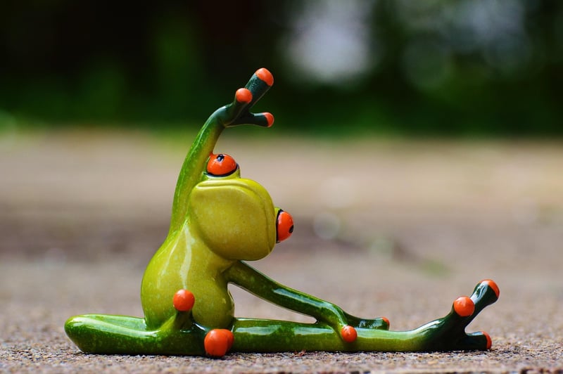 Pilates Fitness
